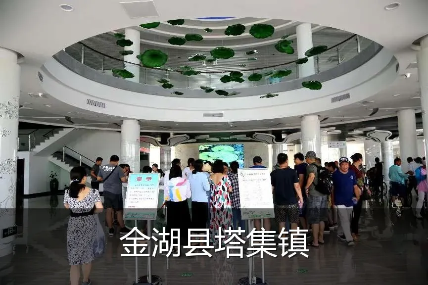 金湖县塔集镇