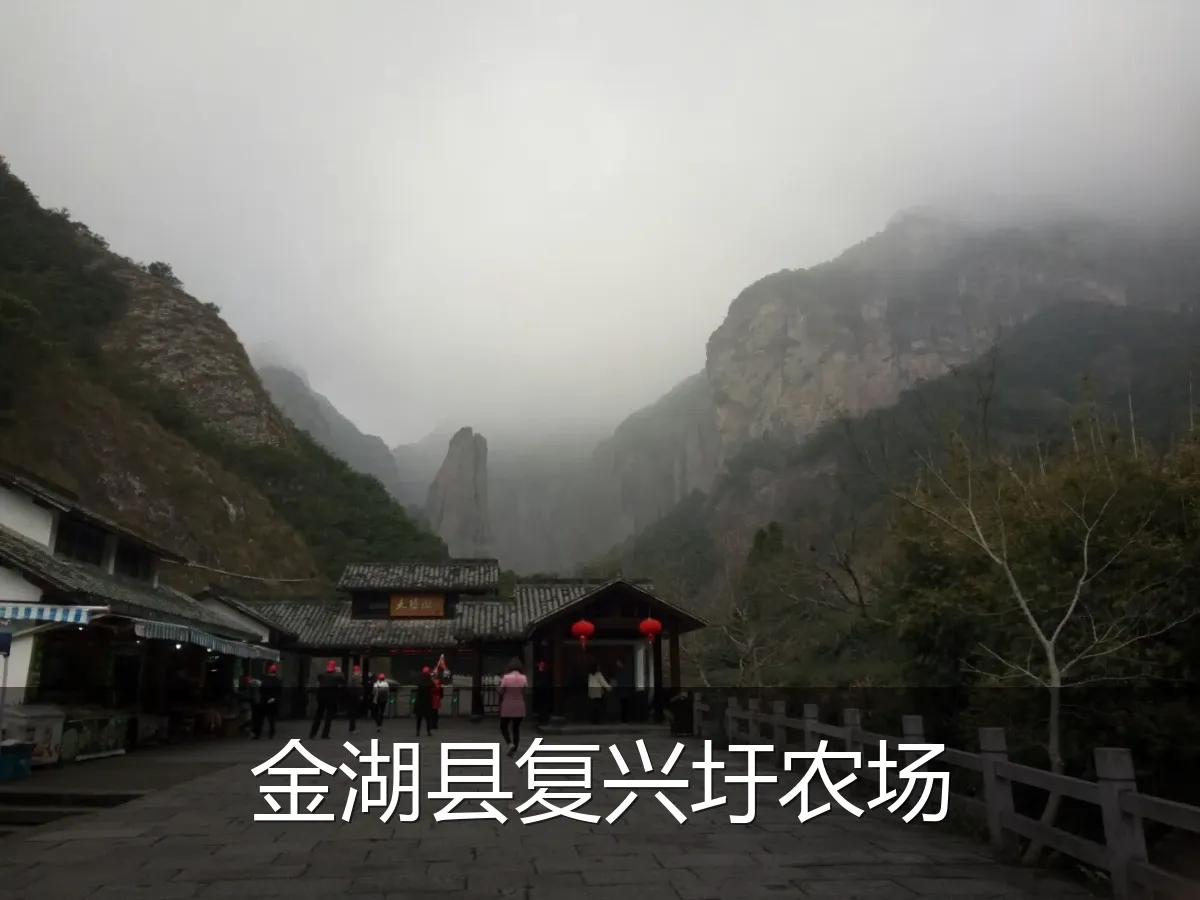 金湖县复兴圩农场