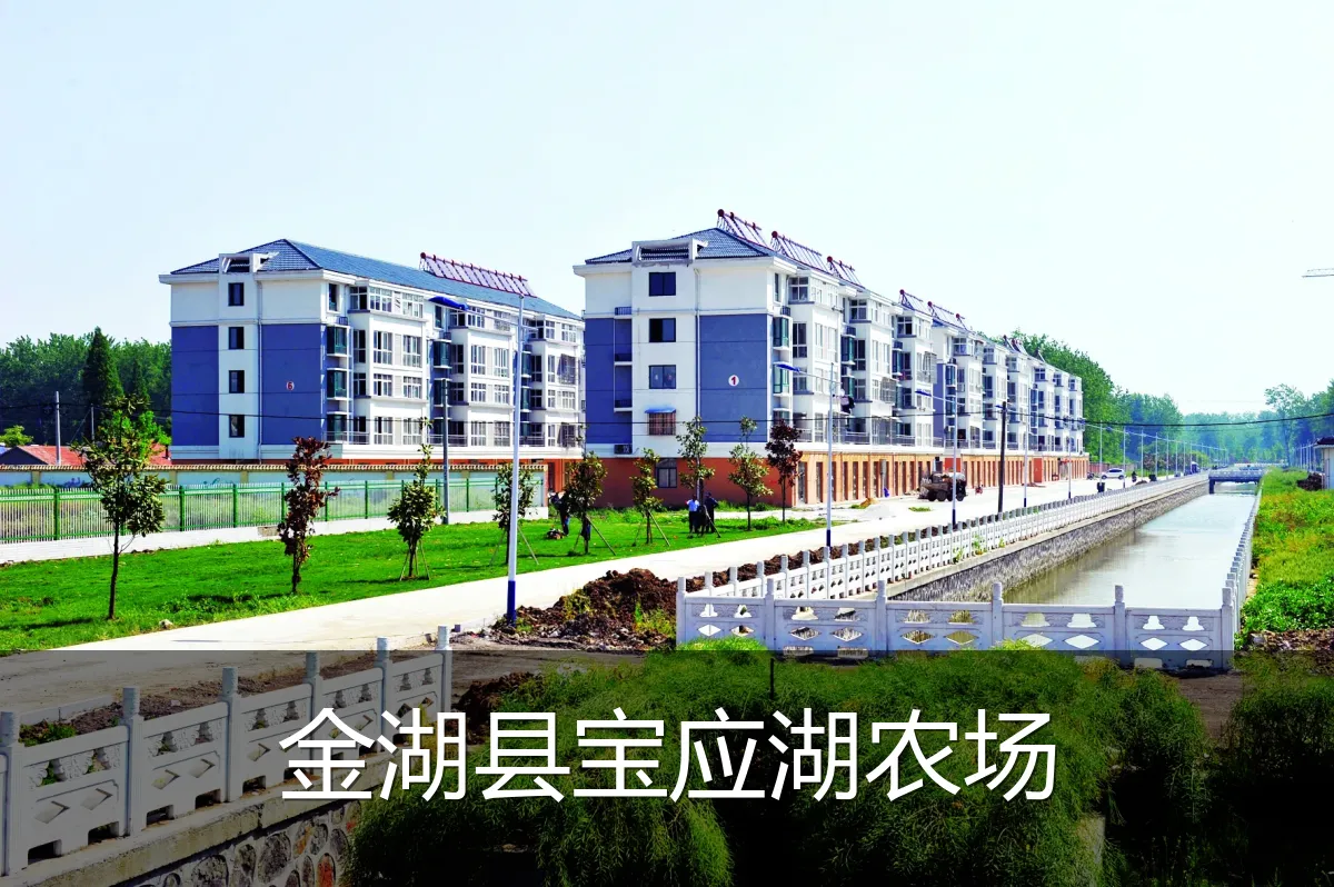 金湖县宝应湖农场