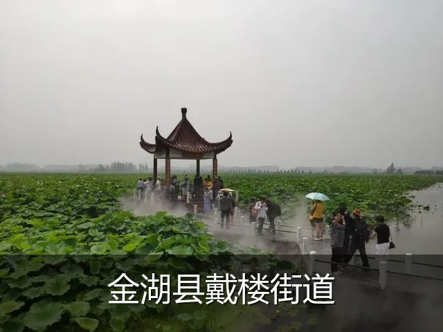 金湖县戴楼街道