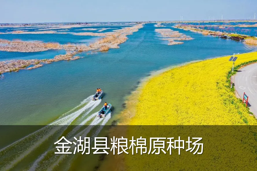 金湖县粮棉原种场